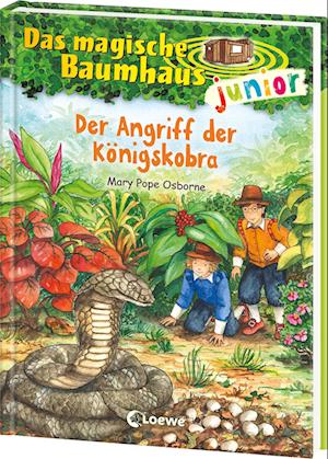 Cover for Mary Pope Osborne · Das magische Baumhaus junior (Band 39) - Der Angriff der Königskobra (Buch) (2024)