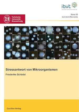 Cover for Friederike Schädel · Stressantwort von Mikroorganismen (Paperback Book) (2011)