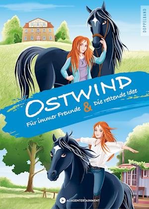 Cover for Thilo:ostwind · Erstleser Doppelband (Book)