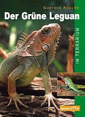 Cover for Gunther Köhler · Der Grüne Leguan im Terrarium (Paperback Book) (2001)