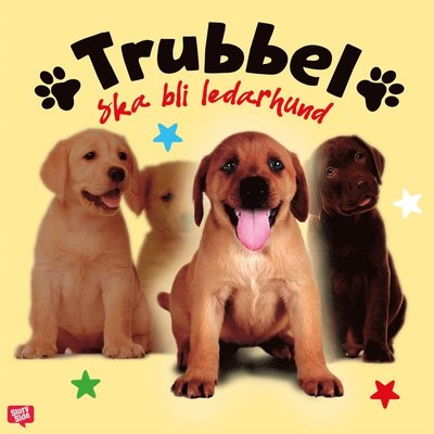 Cover for Anna Bergholtz · Trubbel ska bli ledarhund (Audiobook (MP3)) (2019)