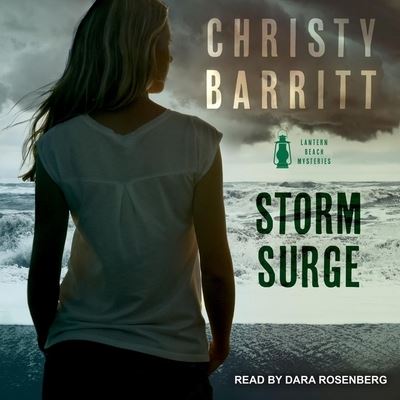 Cover for Christy Barritt · Storm Surge (CD) (2018)