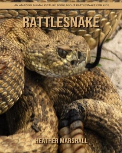 Cover for Heather Marshall · Rattlesnake: An Amazing Animal Picture Book about Rattlesnake for Kids (Pocketbok) (2021)