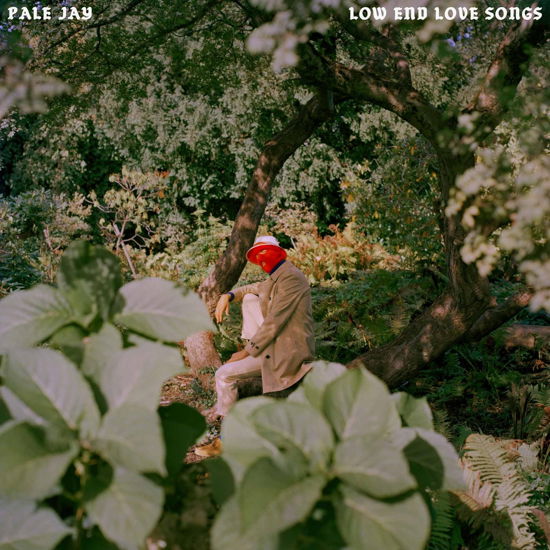 Cover for Pale Jay · Low End Love Songs (CD) (2024)