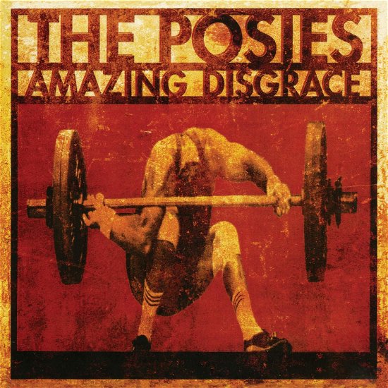 Cover for Posies · Amazing Disgrace (CD) (2018)