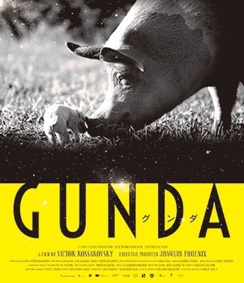 Cover for (Documentary) · Gunda (MBD) [Japan Import edition] (2022)