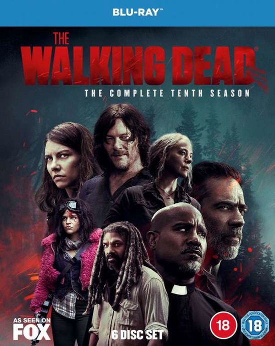 Cover for Walking Dead the S10 BD · The Walking Dead Season 10 (Blu-ray) (2021)