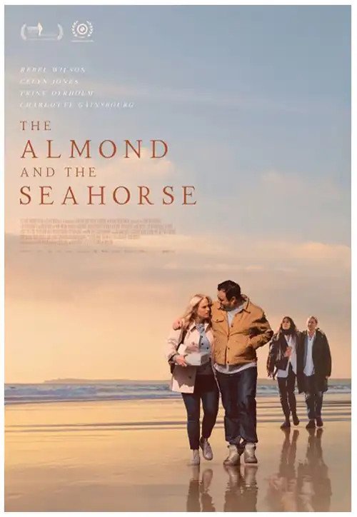 Cover for The Almond and the Seahorse (DVD) (2024)