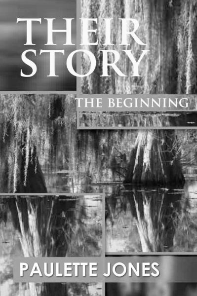 Cover for Ms Paulette Jones · Theirstory: the Begginning (Paperback Bog) (2015)