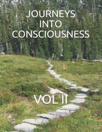 Cover for G · Journeys Into Consciousness (Paperback Book) (2019)