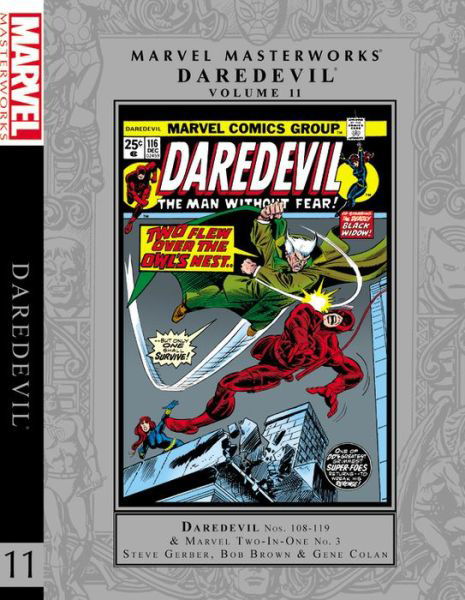 Cover for Steve Gerber · Marvel Masterworks: Daredevil Vol. 11 (Hardcover Book) (2017)