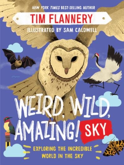 Cover for Tim Flannery · Weird, Wild, Amazing! Sky - Exploring the Incredible World in the Clouds (Paperback Book) (2024)