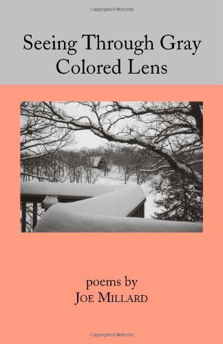 Cover for Joe Millard · Seeing Through Gray Colored Lens (Pocketbok) (2003)