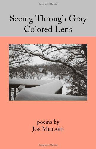 Seeing Through Gray Colored Lens - Joe Millard - Bøger - Trafford Publishing - 9781412004466 - 10. juli 2003