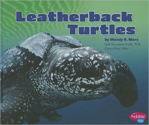 Cover for Mandy R. Marx · Leatherback Turtles (Reptiles) (Inbunden Bok) (2012)