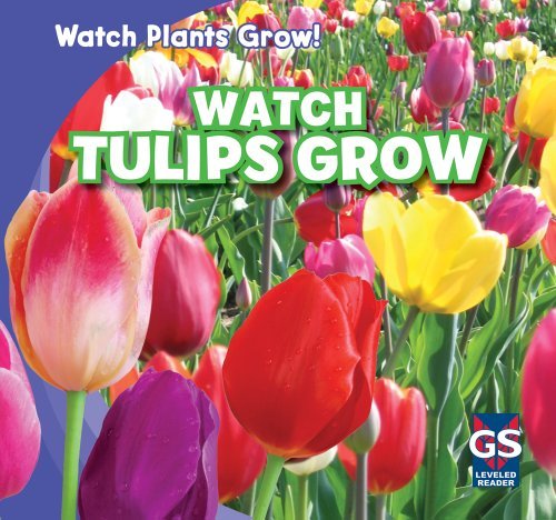 Cover for Kristen Rajczak · Watch Tulips Grow (Watch Plants Grow!) (Paperback Book) (2011)