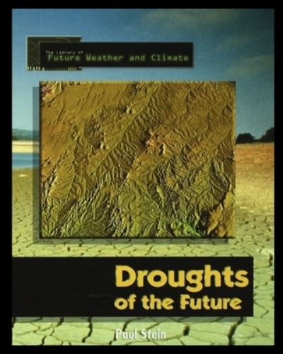 Cover for Paul Stein · Forecasting the Climate of the Future (Paperback Book) (2001)