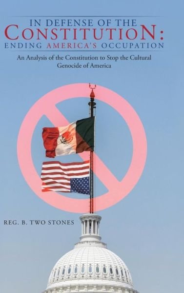 Cover for Reg B Two Stones · In Defense of the Constitution: Ending America's Occupation: An Analysis of the Constitution to Stop the Cultural Genocide of America (Innbunden bok) (2014)