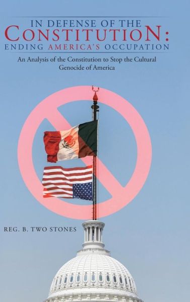 Cover for Reg B Two Stones · In Defense of the Constitution: Ending America's Occupation: An Analysis of the Constitution to Stop the Cultural Genocide of America (Hardcover Book) (2014)