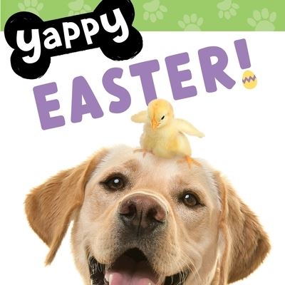 Cover for WorthyKids · Yappy Easter! (Board book) (2024)