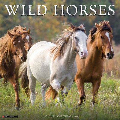 Wild Horses 2025 12 X 12 Wall Calendar - Willow Creek Press - Marchandise - Willow Creek Press Calendars - 9781549245466 - 10 septembre 2024