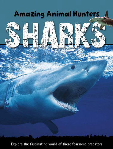 Cover for Jen Green · Sharks (Amazing Animal Hunters) (Hardcover Book) (2010)