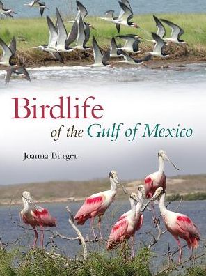 Cover for Joanna Burger · Birdlife of the Gulf of Mexico - Harte Research Institute for Gulf of Mexico Studies Series (Hardcover Book) (2017)