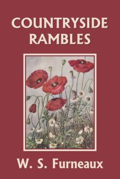 Countryside Rambles (Yesterday's Classics) - W S Furneaux - Kirjat - Yesterday's Classics - 9781633340466 - perjantai 12. heinäkuuta 2019