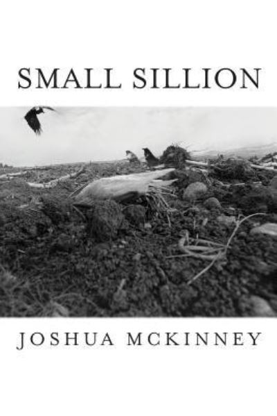 Cover for Joshua McKinney · Small Sillion (Pocketbok) (2018)