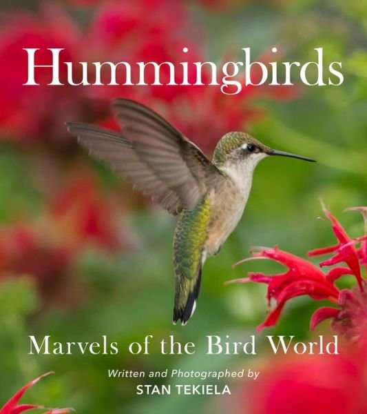 Cover for Stan Tekiela · Hummingbirds: Marvels of the Bird World - Favorite Wildlife (Pocketbok) (2022)