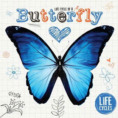 Life Cycle of a Butterfly - Grace Jones - Kirjat - Booklife Us - 9781786376466 - maanantai 1. huhtikuuta 2019