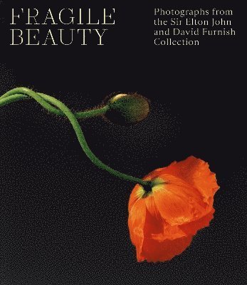 Cover for Fragile Beauty: Photographs from the Sir Elton John and David Furnish Collection - The Official V&amp;A Exhibition Book (Hardcover Book) (2024)