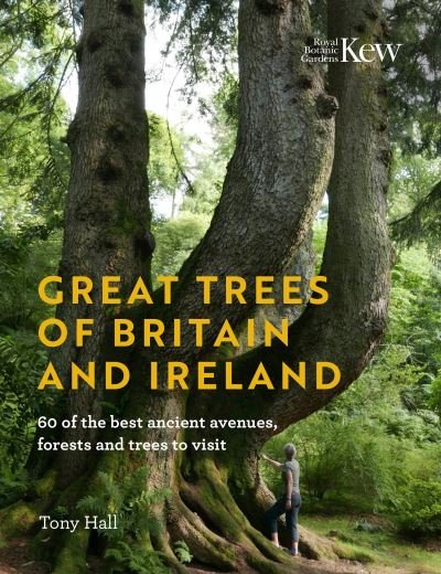 Cover for Tony Hall · Great Trees of Britain and Ireland: Over 70 of the best ancient avenues, forests and trees to visit (Hardcover Book) (2022)
