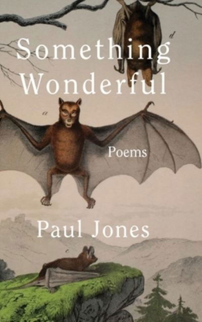 Something Wonderful - Paul Jones - Libros - Redhawk Publications - 9781952485466 - 29 de octubre de 2021