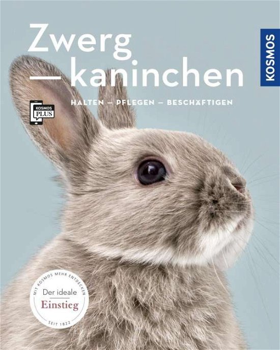 Cover for Beck · Zwergkaninchen (Bog)