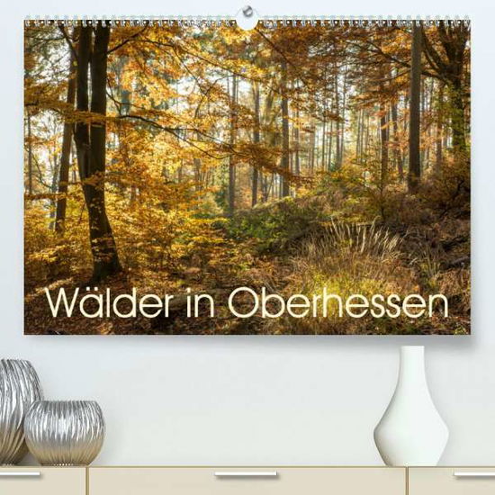 Cover for Balzer · Wälder in Oberhessen (Premium-Ka (Book)