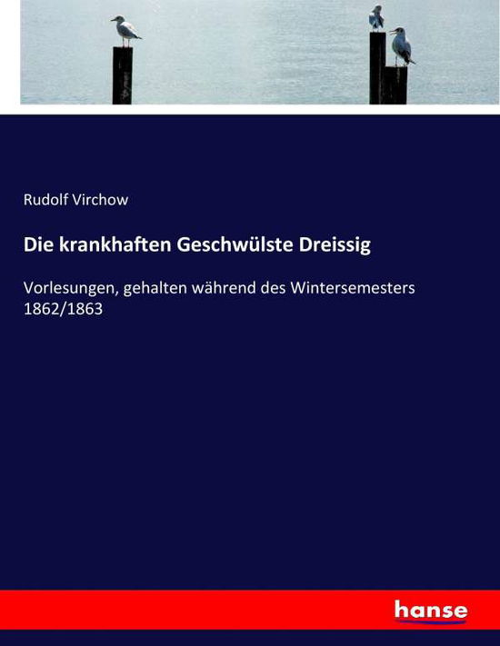 Cover for Virchow · Die krankhaften Geschwülste Dre (Bok) (2017)