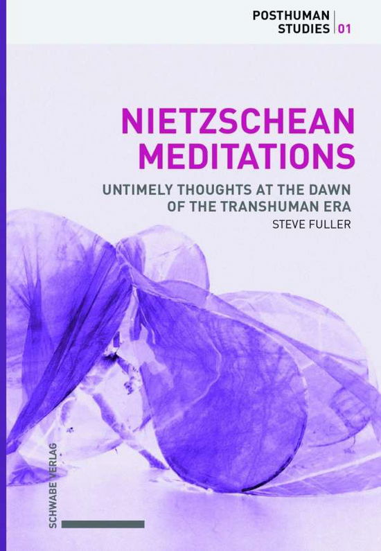 Cover for Fuller · Nietzschean Meditations (Book) (2019)