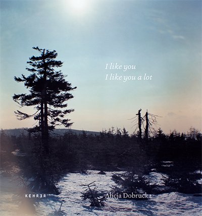 Cover for Dobrucka · I like you, I like you a lot (Hardcover Book) (2019)