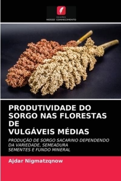 Cover for Ajdar Nigmatzqnow · Produtividade Do Sorgo NAS Florestas Devulgaveis Medias (Pocketbok) (2021)