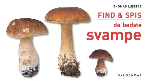 Cover for Thomas Læssøe · FIND &amp; SPIS de bedste svampe (Bound Book) [1º edição] [Indbundet] (2010)