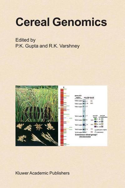 Cover for Pushpendra Kumar Gupta · Cereal Genomics (Paperback Book) [Softcover reprint of hardcover 1st ed. 2004 edition] (2010)