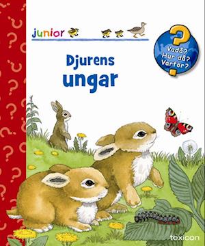 Cover for Andrea Erne · Djurens ungar (Book) (2007)