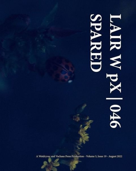 Cover for Wetdryvac · LAIR W pX 046 Spared (Paperback Bog) (2024)