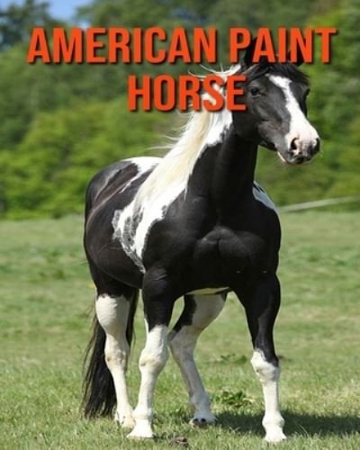 Cover for Kayla Miller · American Paint Horse (Pocketbok) (2020)