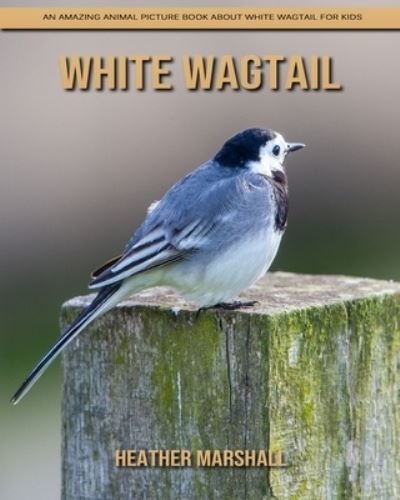 Cover for Heather Marshall · White Wagtail: An Amazing Animal Picture Book about White Wagtail for Kids (Paperback Book) (2021)