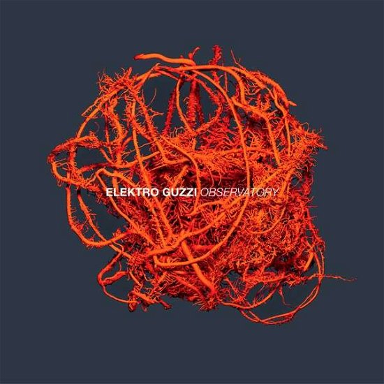 Cover for Elektro Guzzi · Observatory (LP) (2014)