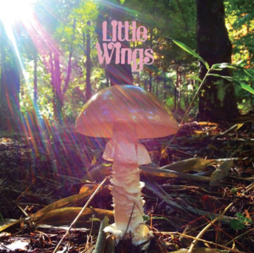 Last - Little Wings - Music - KING COBRA INC. - 4580336440467 - August 7, 2013