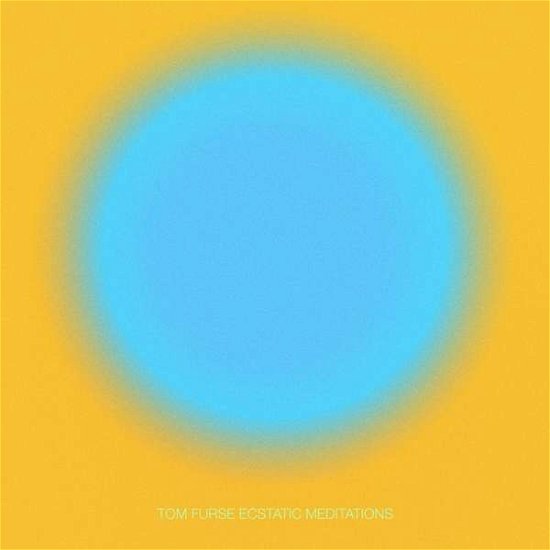 Cover for Tom Furse · Ecstatic Meditations (LP) (2021)