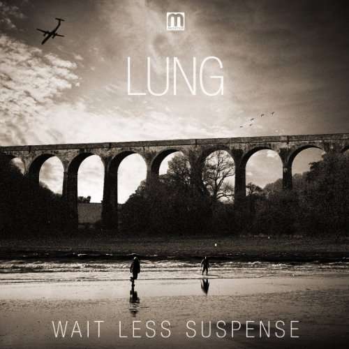 Cover for Lung · Wait Less Suspense (LP) (2013)